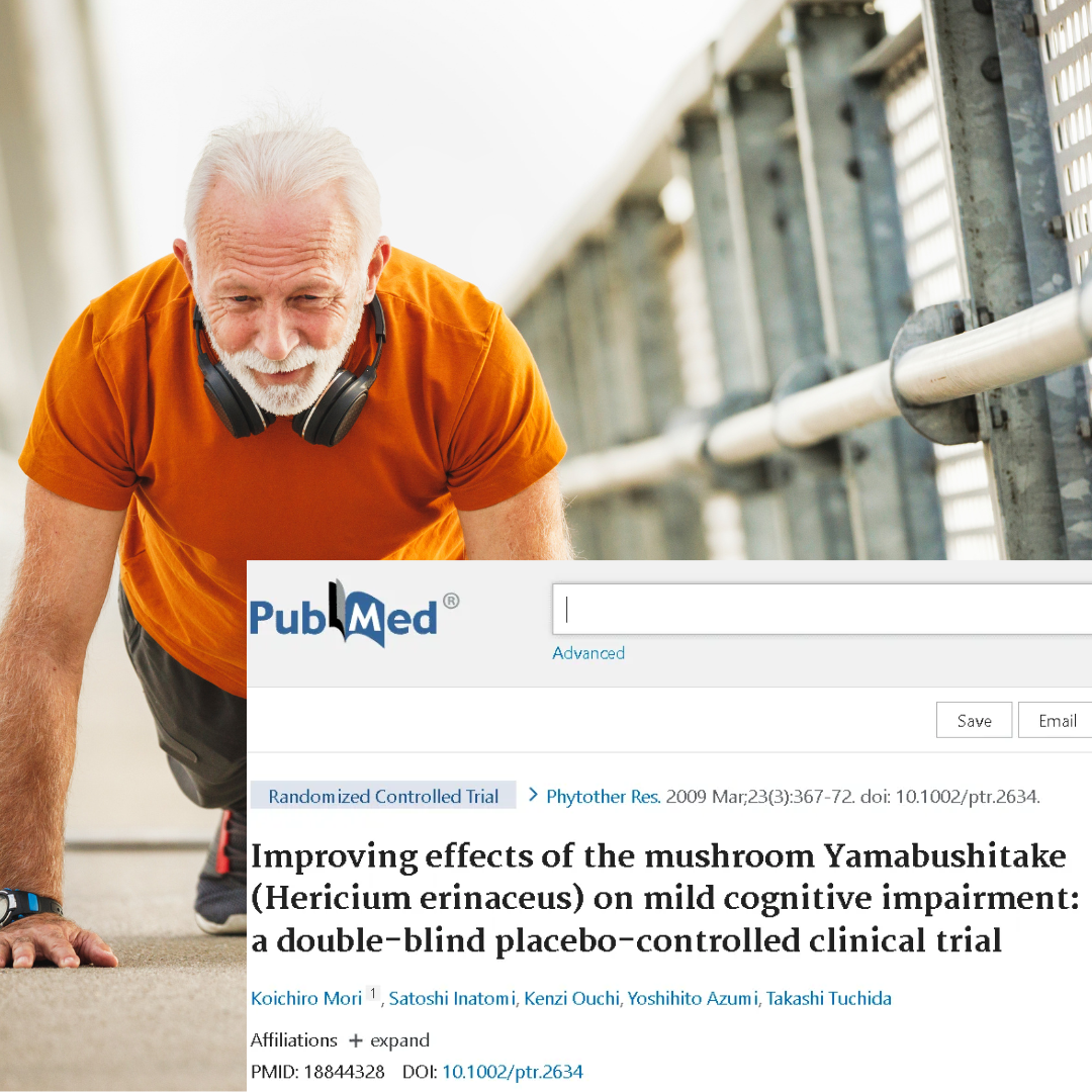 Melhorias significativas na escala de função cognitiva. Estudo clínico duplo-cego, placebo-controlado, realizado com homens e mulheres japoneses de 50 a 80 anos