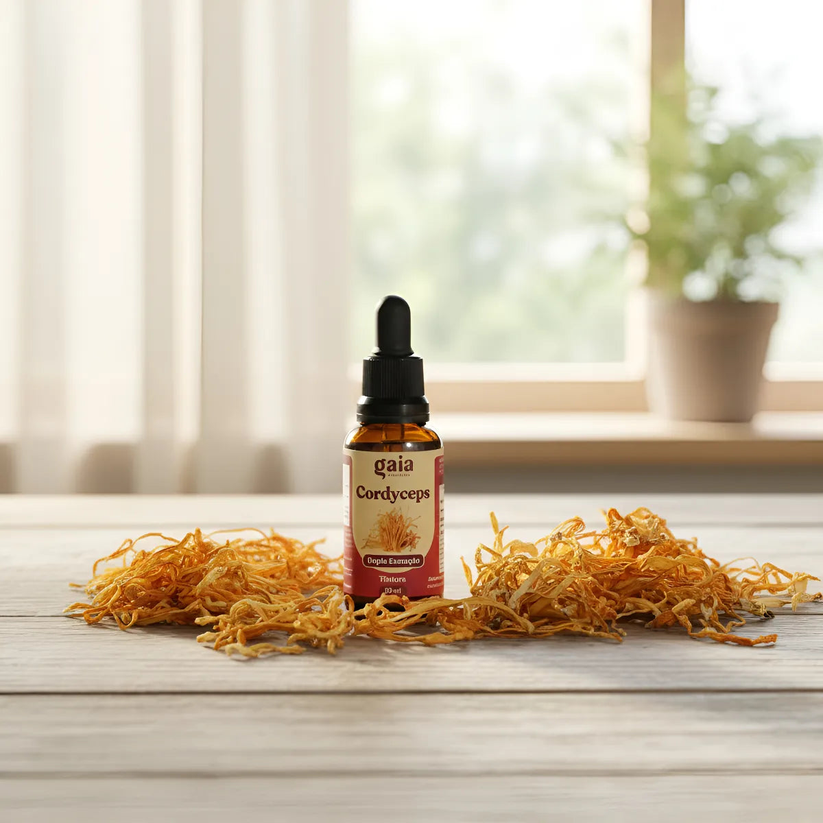 Cogumelo Cordyceps | Extrato Líquido