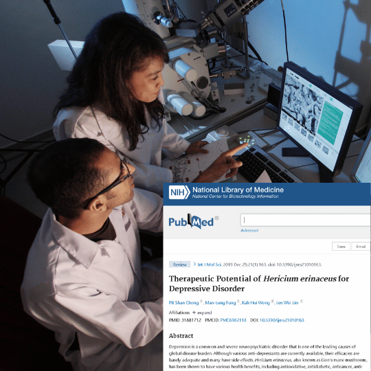 Potencial terapêutico de Hericium erinaceus (Juba de Leão) para transtorno depressivo