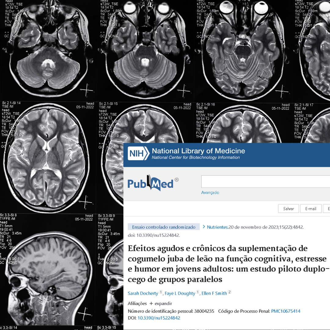 Estudo piloto revelou que uma única dose do cogumelo Hericium erinaceus (Juba de Leão), melhorou a velocidade de desempenho em uma tarefa cognitiva e mostrou uma tendência à redução do estresse
