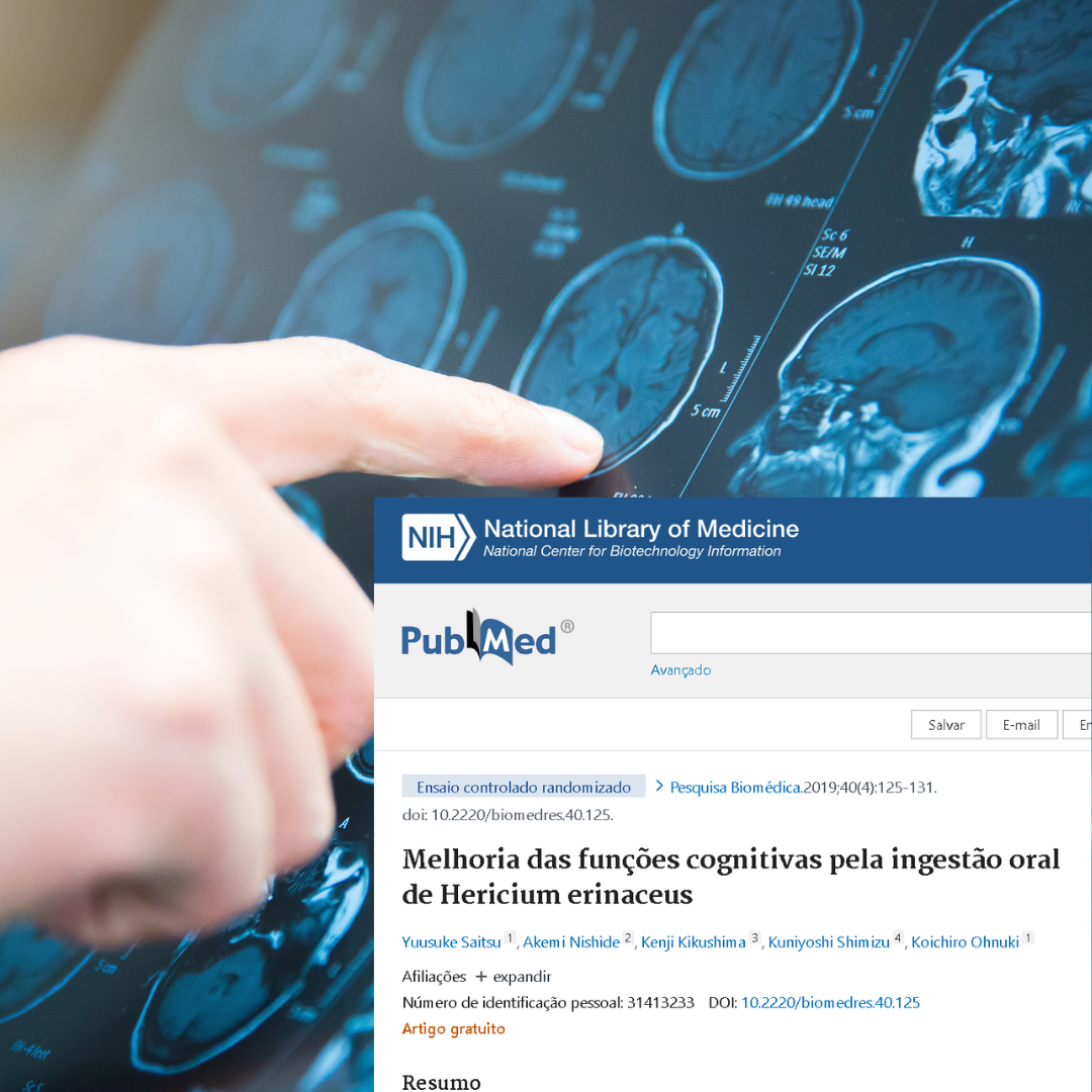 Melhoria das funções cognitivas pela ingestão oral de Hericium erinaceus (Juba de Leão)