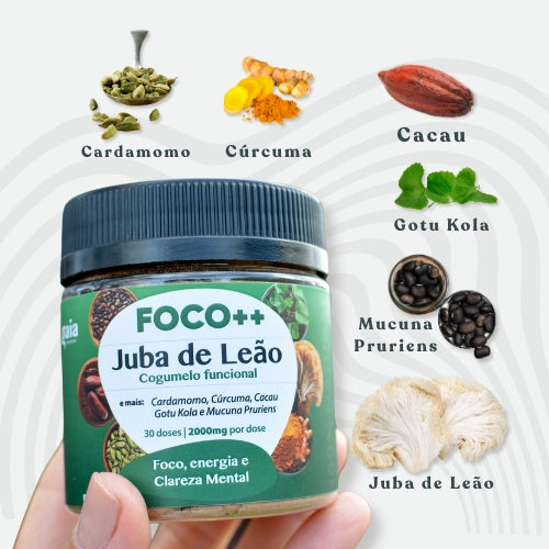 Foco++ Cogumelo funcional Juba de leão