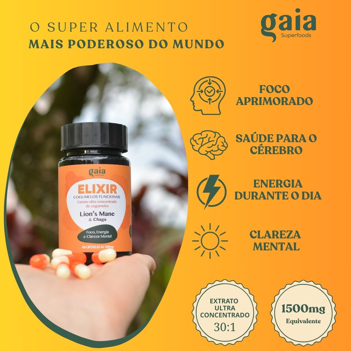 Kit Elixir da Produtividade
