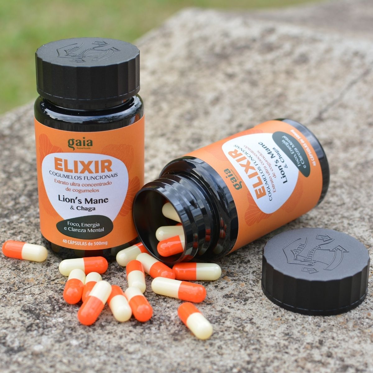 Cápsulas Cogumelo Juba de Leão ultra concentrado  - ELIXIR