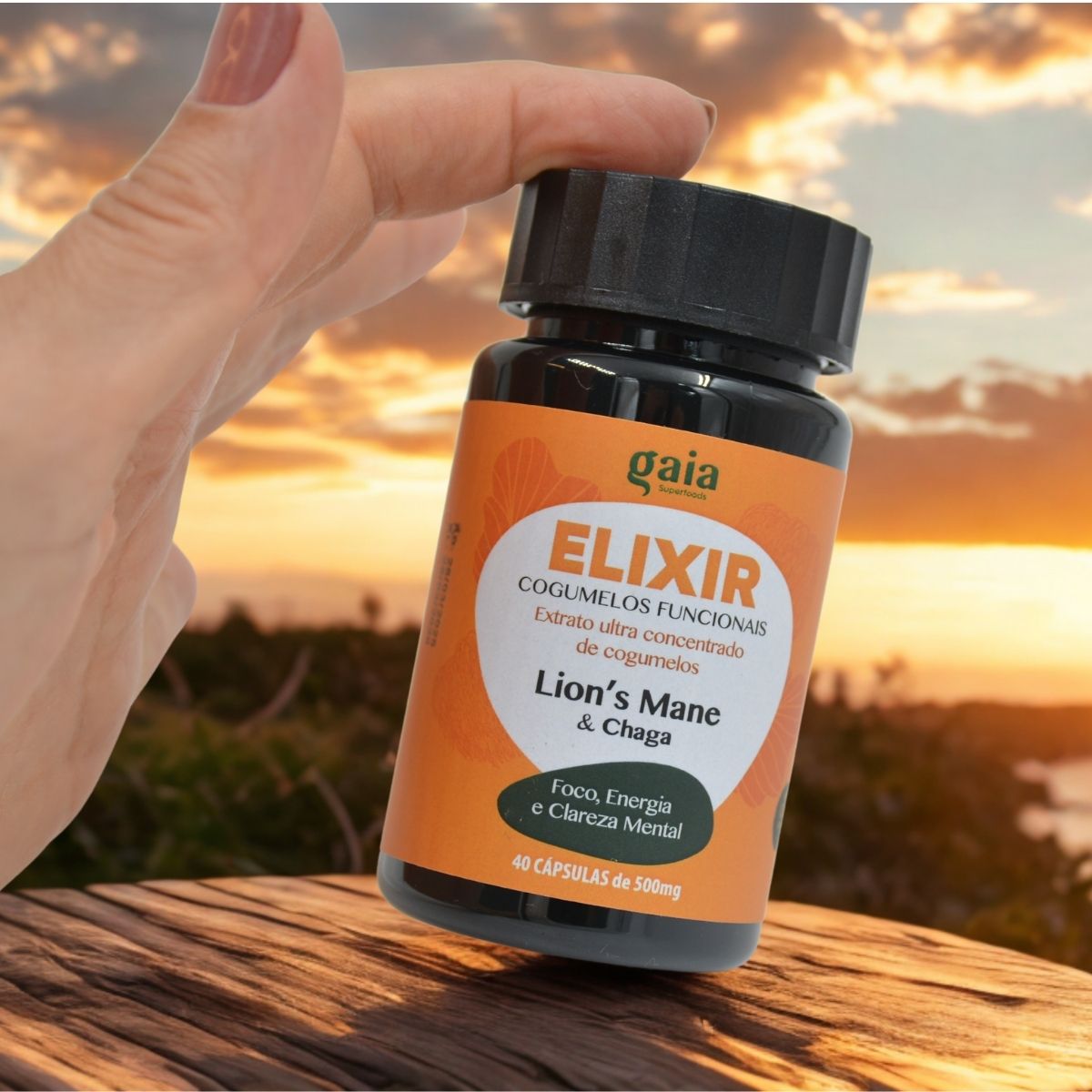 Cápsulas Cogumelo Juba de Leão ultra concentrado  - ELIXIR