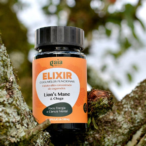 Cápsulas Cogumelo Juba de Leão ultra concentrado  - ELIXIR